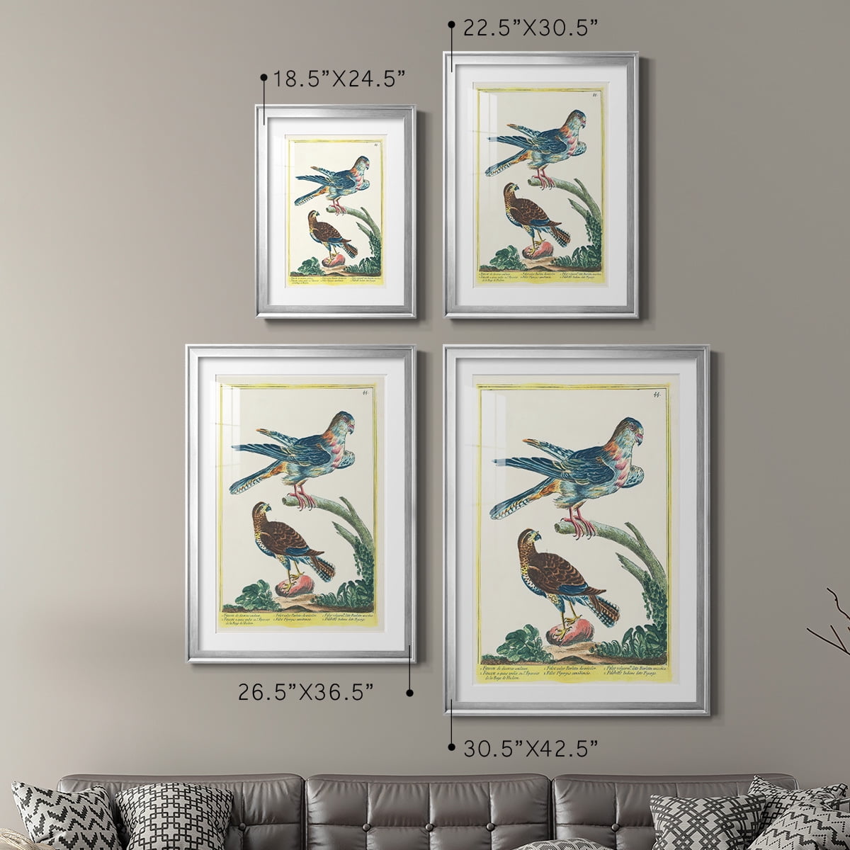 Wexford Home Pastel Birds V Premium Framed Print, 22.5" x 30.5" - Ready to Hang, Silver (Set of 2)