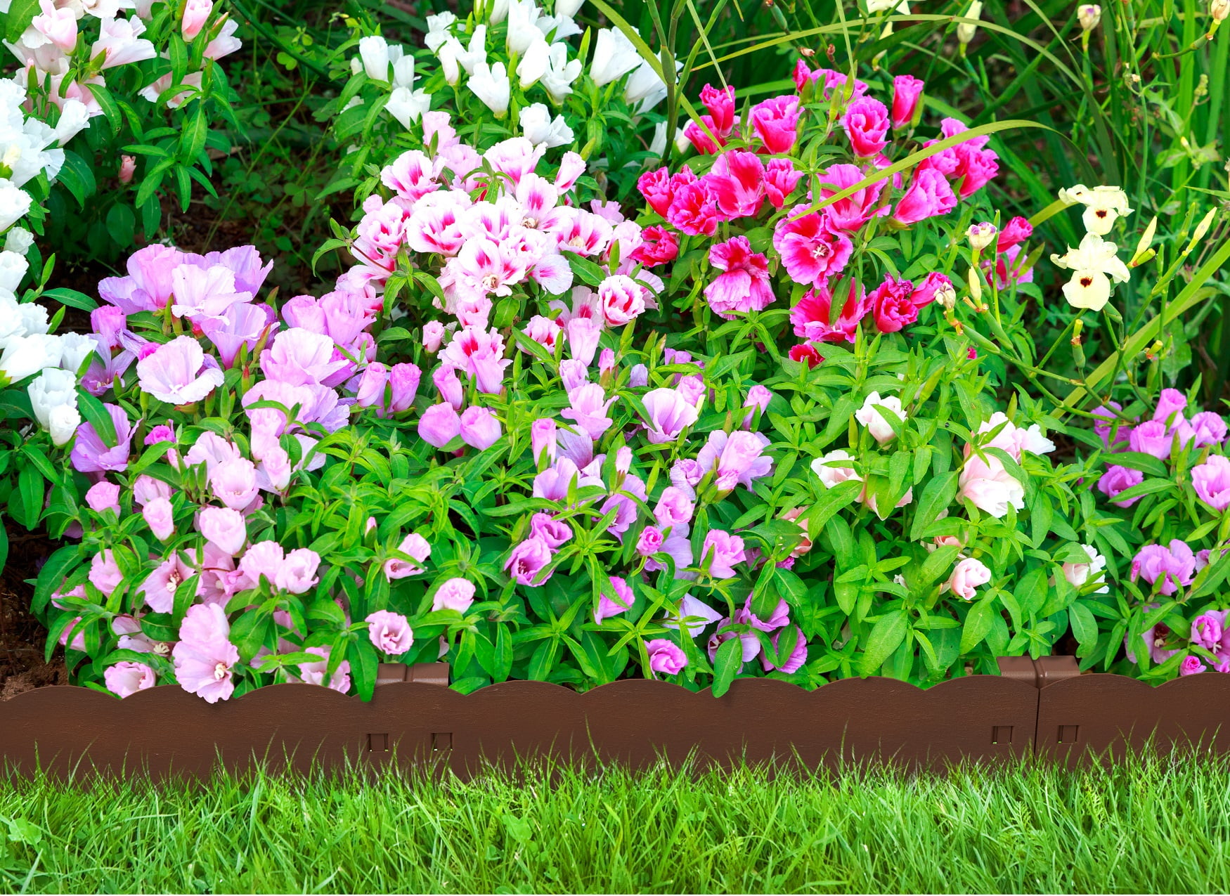 Panacea 83641-12 Steel Garden Metal Edging Border, Scalloped Panels, Set of 12, Rustic Bronze