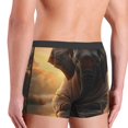 thumbnail image 6 of Cauagu Lake Meditating Elephant Print Boxer Briefs for Men,Comfortable Breathable Men's Underwear Moisture Wicking Underpants -XX-Large, 6 of 8