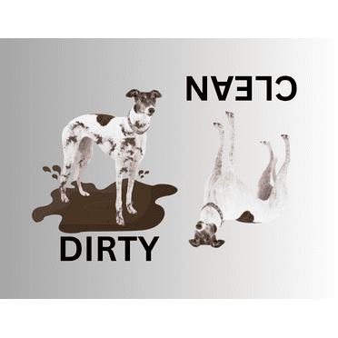 Dishwasher 4000 Series Aquasurge Parts Cavo Porta Lavastoviglie OEM Frigidaire 154529403 - Ricambio Per Modelli 154578801, 154756401, Electrolux Dishwasher Parts Near Me