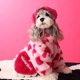 thumbnail image 1 of Ropa para perros otoño e invierno abrigo de felpa cálido con forma de amor chenari osito de peluche cubo ropa para mascotas + bolsa, 1 of 5