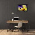 thumbnail image 4 of Schell, Jennie Marie 24x17 Black Modern Framed Museum Art Print Titled - Purple Pansy Macro Flower, 4 of 5