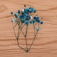 thumbnail image 4 of Gypsophi Panicuta de hojas secas Gloria para decoración azul, 4 of 9