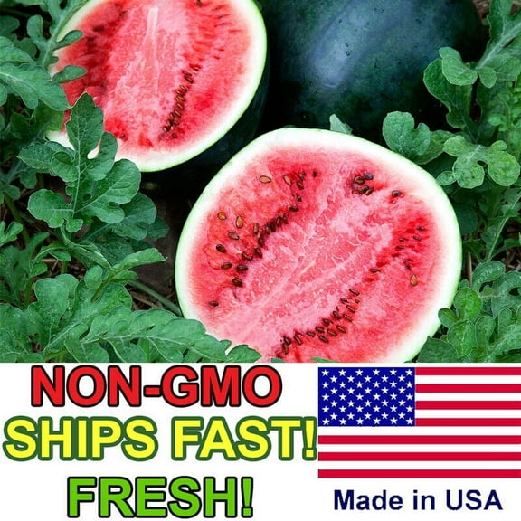 Sugar Baby Watermelon Seeds | Non-GMO Heirloom Vegetable Fruit Garden Seeds USA