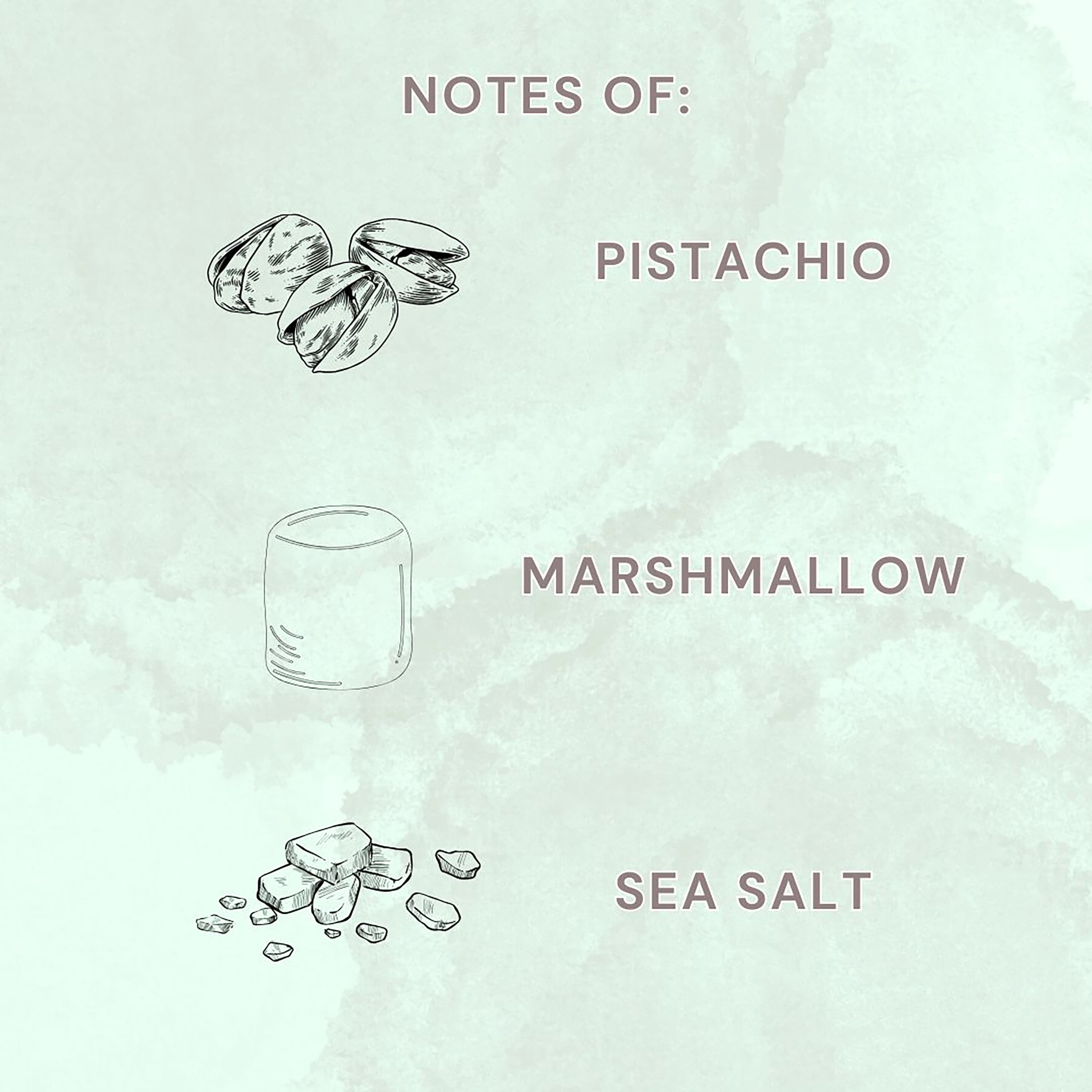 (4 pack) Allswell Savor (Pistachio + Marshmallow + Sea Salt) Scented 2-Wick Spa Jar Candle 15oz.