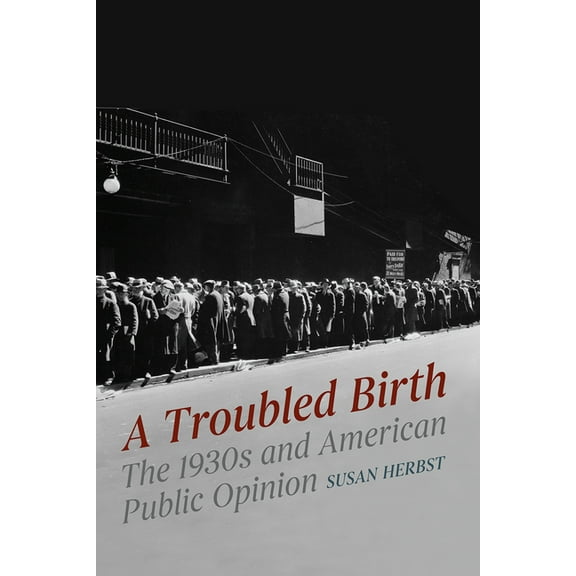 Chicago Studies in American Politics: A Troubled Birth : The 1930s and American Public Opinion (Edition 1) (Paperback)