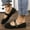 Black, variant on Flats for Womens, Buckle Strap Low Heels Square Toe 2025 Fashion Dressy Shoes Brown
