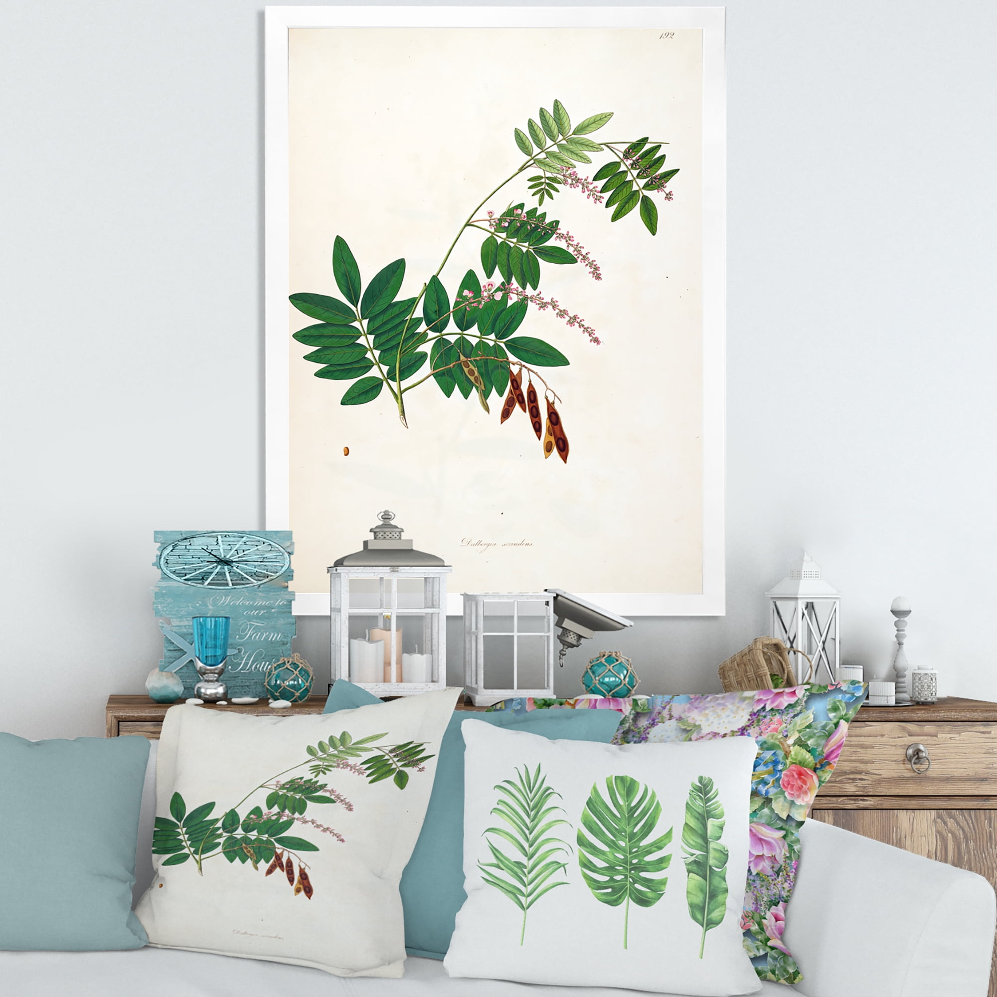 Designart 'Ancient Botanicals XI' Farmhouse Framed Art Print