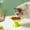 45#Yellow, variant on Elevated Ceramic Cat Food Bowl Tall Raised Design, Whisker Friendly Wide Shallow Pet Water Dish to Protect Cervical Spine, Non-Slip Canned Food Bowl for Cats
