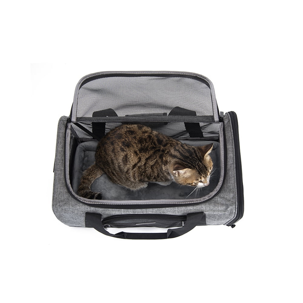 Sac de Voyage pour Chien Avion Boîte de Transport pour Chat Boîte