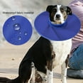 thumbnail image 4 of CBFFDC Collier Léger pour Animaux de Compagnie Protection Récupération Confortable Résistant à l'Eau Séchage Rapide Col Élastique Haute Fourniture pour Animaux, 4 of 6