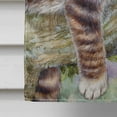 thumbnail image 4 of Carolines Treasures CDCO0241CHF Sleepy Cat by Debbie Cook Flag Canvas House Size, 4 of 4