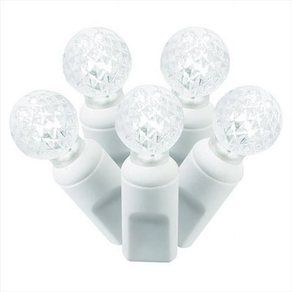 NorthLight Lumières de Noël LED G12 Baies de Qualité Commerciale Blanc Froid - Fil Blanc, Ensemble de 50