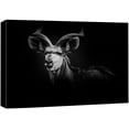 thumbnail image 3 of PixonSign Canvas Print Wall Art Portrait of Kudu Antelope Animals Wildlife Photography Realism Minimalist Closeup Relax/Calm Dark Black and White for Living Room, Bedroom, Office - 32"x48", 3 of 5