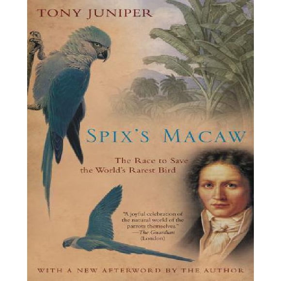 Spix's Macaw: The Race to Save the World's Rarest Bird