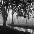 thumbnail image 2 of Bell, Nicholas 15x15 White Modern Wood Framed Museum Art Print Titled - Woodland No. 1, 2 of 4