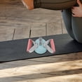 thumbnail image 4 of WHAMVOX Home Fitness Equipment Ab Training Bar for Sit ups with Stable Foot Fixation Design and Multicolor, 4 of 8