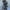 Gray, variant on Sentmoon Loose Womens Coats Wool Lapel Regular Womens Winter Coats,with Belted Fashion Jackets for Women Classic Fit Coats Purple XL Clearance Sales Today Deals Prime