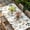 White, variant on Spring Leaves Flowers Table Cloths for 3 Foot Rectangle Tables, Country Flower Pastoral Botanical Retro Patio Waterproof Elastic Fitted Tablecloths, Washable Rectangular Table Cover for Camping