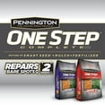 thumbnail image 4 of Pennington One Step Complete Tall Fescue Grass Seed; 8.3 lbs, 4 of 6