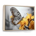 thumbnail image 2 of Designart "Butterfly Haven Yellow Grey II" Animals Floater Framed Canvas Print, 2 of 7