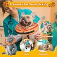 thumbnail image 2 of Grand Line Pizza Collar Hinchable Para Perros Y Gatos, So..., 2 of 7