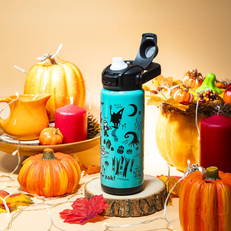 Zak Designs 20oz Insulated Water Bottle, Leak-Proof, BPA Free