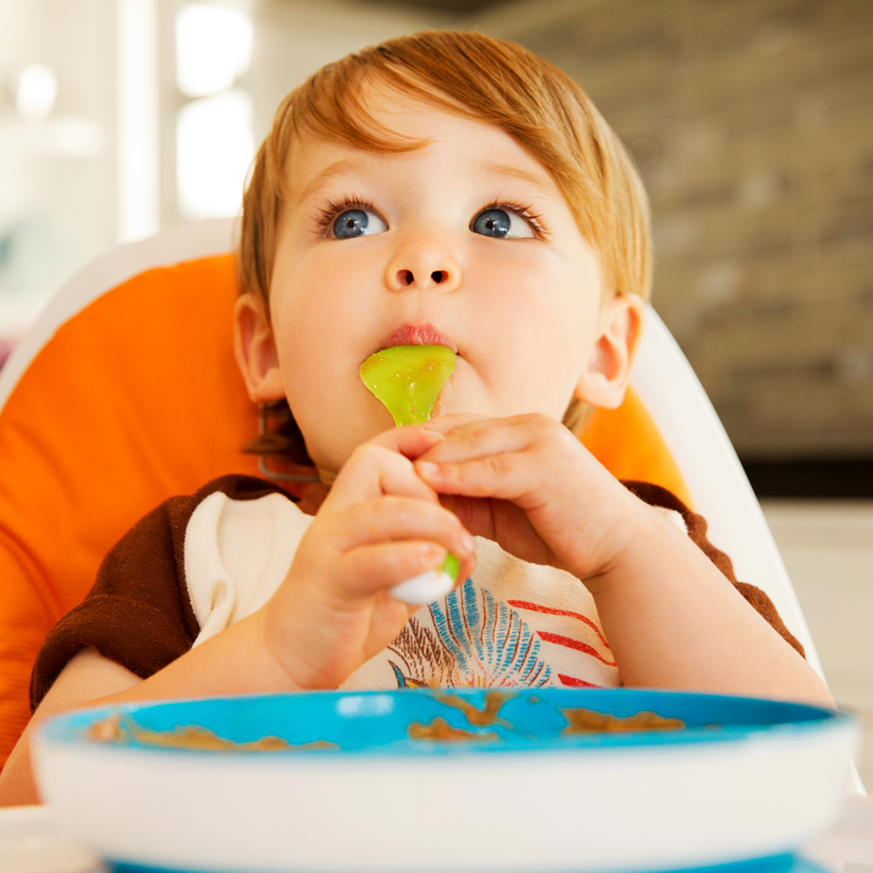 Munchkin Stay Put Divided Azul//Verde