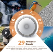 Dreamegg White Noise Machine for Sleep, Sound Machine with Alarm Clocks and Night Light for Bedrooms, Grey