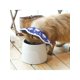 thumbnail image 4 of Protective Adjustable Pet Cone Collar for After Surgery, Lightweight Elizabethan Collar for Cat Kitten Prevent from Licking Wounds, Not Block Vision, 4 of 5