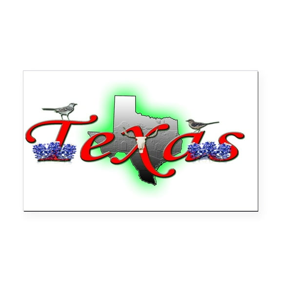 CafePress - Texas - Rectangle Car Magnet