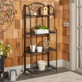 thumbnail image 3 of Safavieh Amaris Iron Shelves in Black, 3 of 12