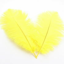 1*Feather About 32 Cmcolorful Feathers Wedding Decoration Flower Arrangement Stage Clothing Decoration