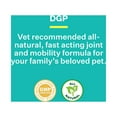 thumbnail image 6 of DGP All-Natural Joint Supplement for Dog Hip & Joint Support with Turmeric, Boswellia Extract, Feverfew - Quick Mobility Support - 60 Chew Tabs for Pets, 6 of 8