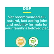 DGP for Pets All-Natural Joint Supplement for Dog Hip & Joint Support with Turmeric Boswellia Extract, Feverfew - Quick Mobility Support - 60 Chew Tabs for Pets