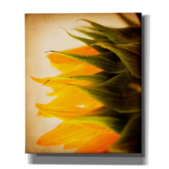 Epic Graffiti 'Late Bloomer' by Jessica Rogers, Canvas Wall Art, 20"x24"