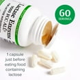 thumbnail image 3 of Natural Factors, Lactase Enzyme, Digestive Aid For Lactose and Dairy Intolerance, 60 Capsules, 3 of 8