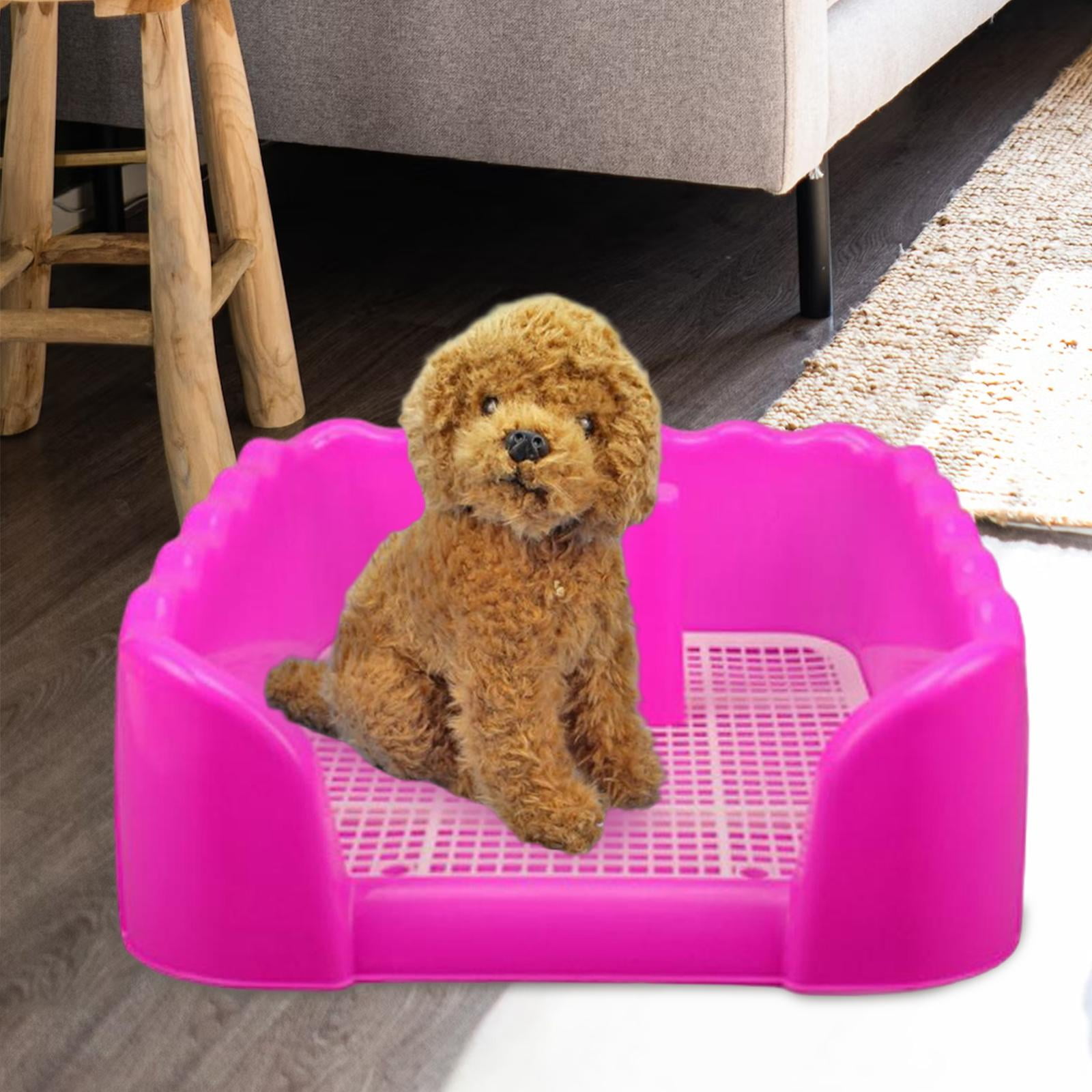 Buy Indoor Dog Potty Tray Pet Training for Small and Medium Dogs with