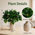 thumbnail image 3 of 12 Inch Artificial Plant Indoor,Small Fake Plants Eucalyptus Stems With Vase,Faux Greenery In Pot For Farmhouse Home Decor,Bathroom Living Room Kitchen Office Coffee Table Centerpiece (cream white), 3 of 4