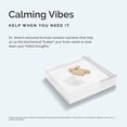 thumbnail image 6 of Dr Amen BrainMD GABA Calming Support - 90 Vegan Capsules - Promotes Relaxation - Contains Magnesium, Vitamin B6 & Lemon Balm - 90 Servings, 6 of 6