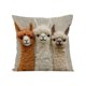 thumbnail image 2 of Uuiauoio Linen Pillow Cover Decorative Sofa Cushion with Imitation Embroidery Print, Soft Textured Throw Pillow for Living Room, Bedroom, and Home Decor Accent, 2 of 7