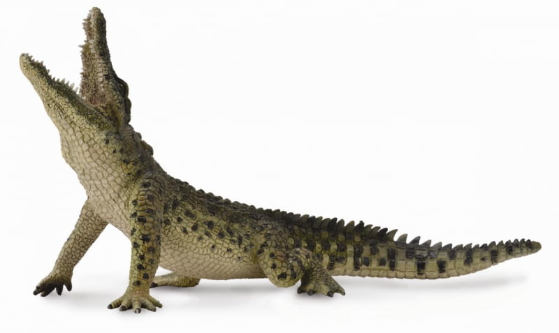 collecta nile crocodile