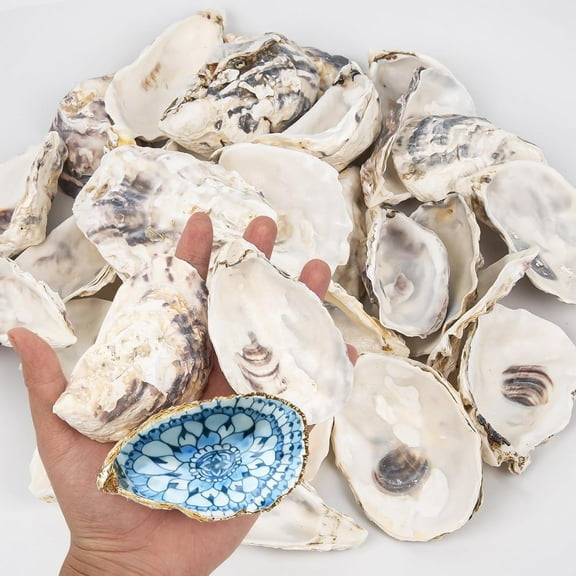 Sinkoo 15 Pcs Oyster Shells 3"-4" Medium Concave Oyster Shells for Crafts Natural Oyster Shells Bulk, for Home Vase Filler, Xmas Ornaments, DIY Arts and Crafts Sea Shells