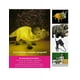 thumbnail image 5 of LÁMPARA DECORATIVA TRICERATOPS Clásico Dinosaurio del periodo jurásico, 5 of 6