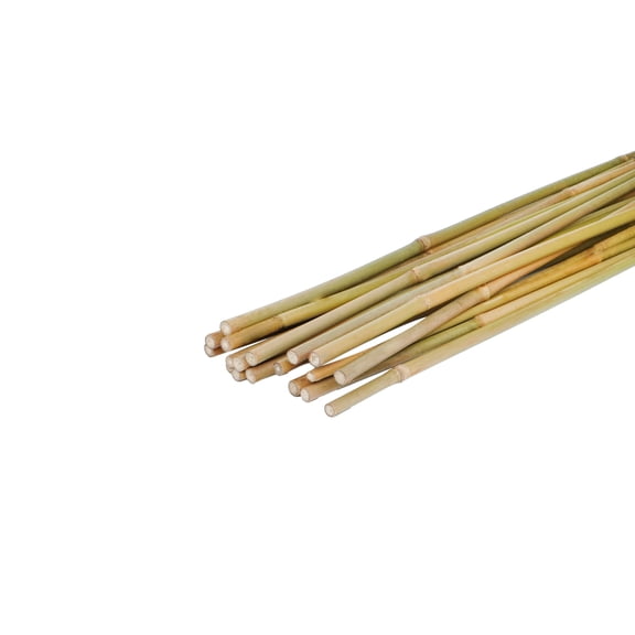 Natural Bamboo Stakes 57 Inch (Approx 5 FEET) for Tomatoes, Beans, Flowers, Potted, Climbing Plants 20pcs