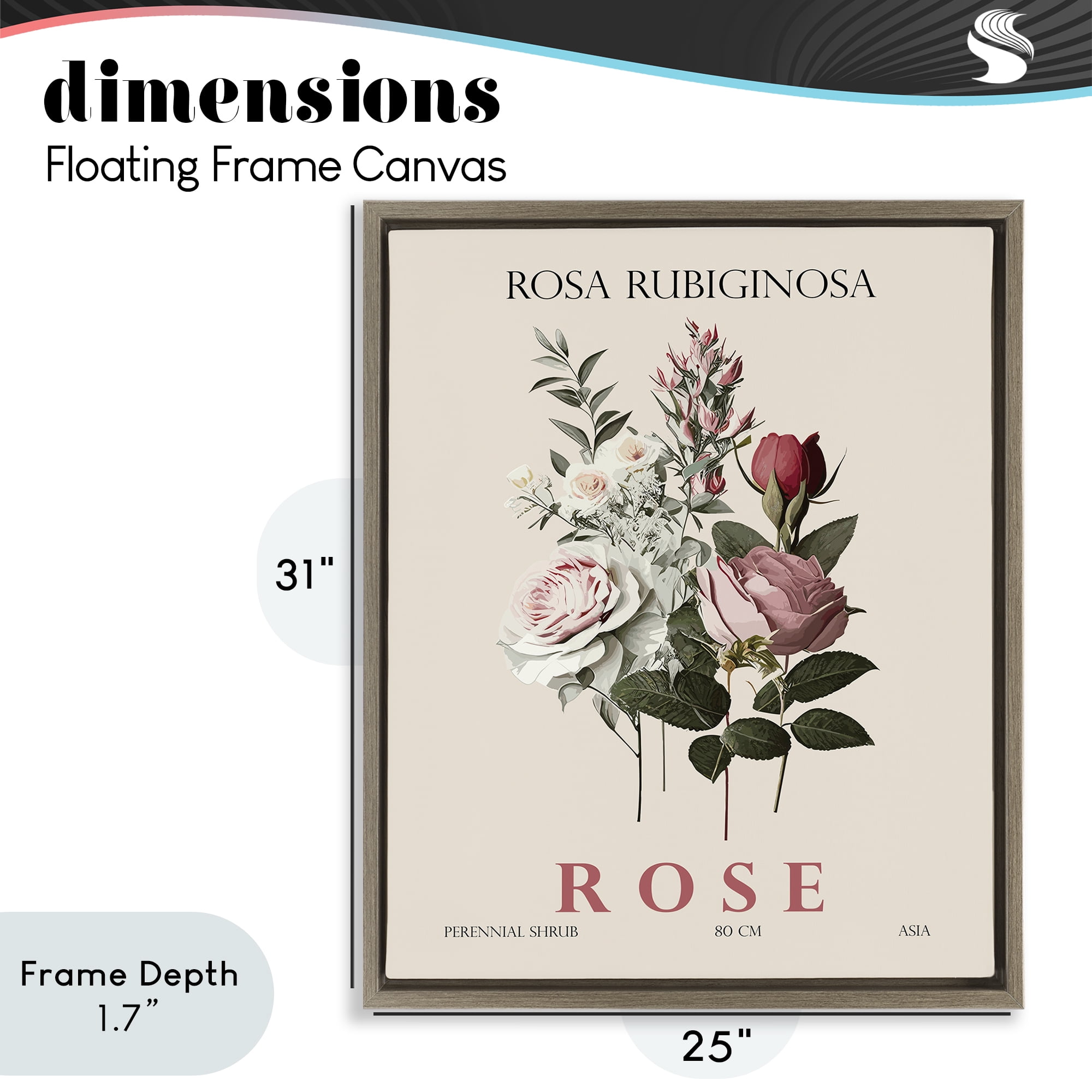 Stupell Industries Natural Rose Bundle Brown Framed Floater Canvas Wall Art, design by Christopher Giampietro