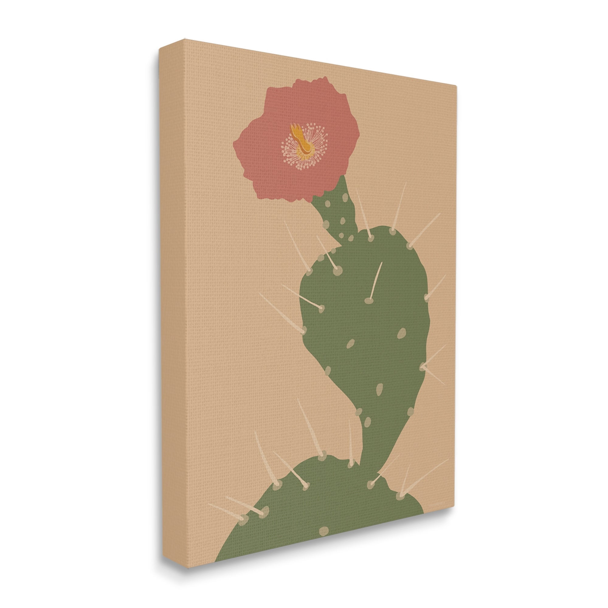 Stupell Industries Prickly Boho Cactus Flower Modern Pictorial Plant Graphic Art Gallery Wrapped Canvas Print Wall Art, Design by Kamdon Kreations