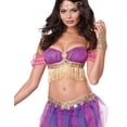 thumbnail image 2 of Belly Dancer Adult Costume, 2 of 4