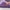 Purple, variant on BDEUS 2 Inch Mattress Topper, Cooling Gel Memory Foam Mattress Topper, Bed Topper, Soft, Twin Size