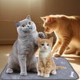 thumbnail image 2 of 2Pcs Puppy Pee Pad Reusable Dog Pee Mat Indoor Pet Pee Pad Pet Training Pee Pad Pet Tool, 2 of 8